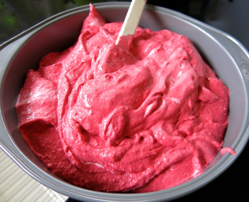 12a Thermomix Seedless Raspberry Ice Cream