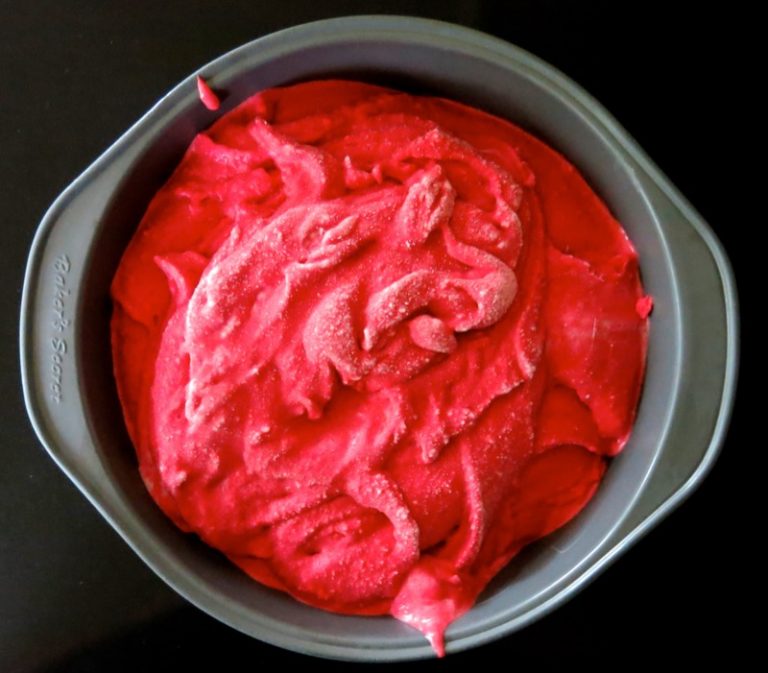 Thermomix Seedless Raspberry Ice Cream Outrageously Delicious
