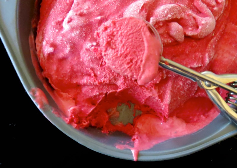 14 Thermomix Seedless Raspberry Ice Cream