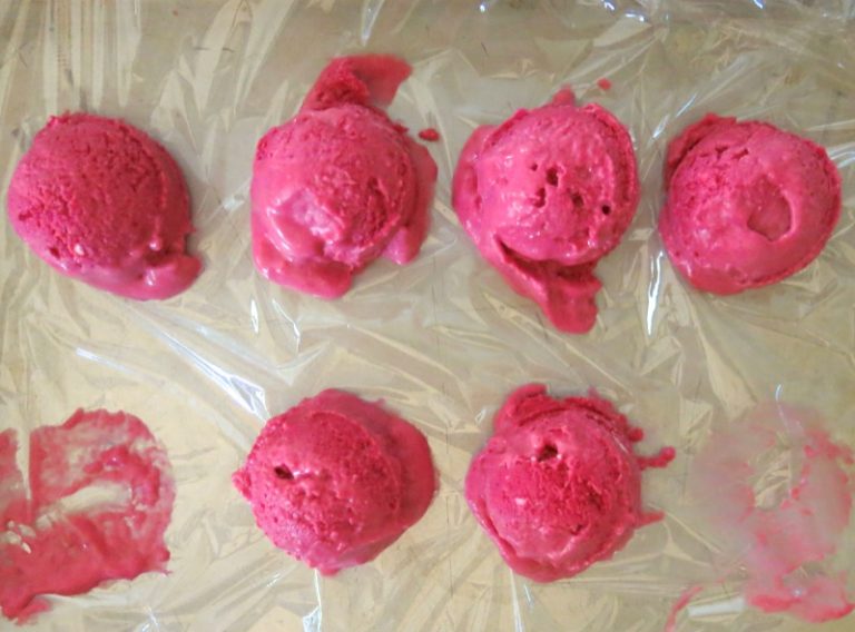 Thermomix Seedless Raspberry Ice Cream Outrageously Delicious