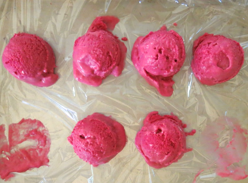 14b Thermomix Seedless Raspberry Ice Cream