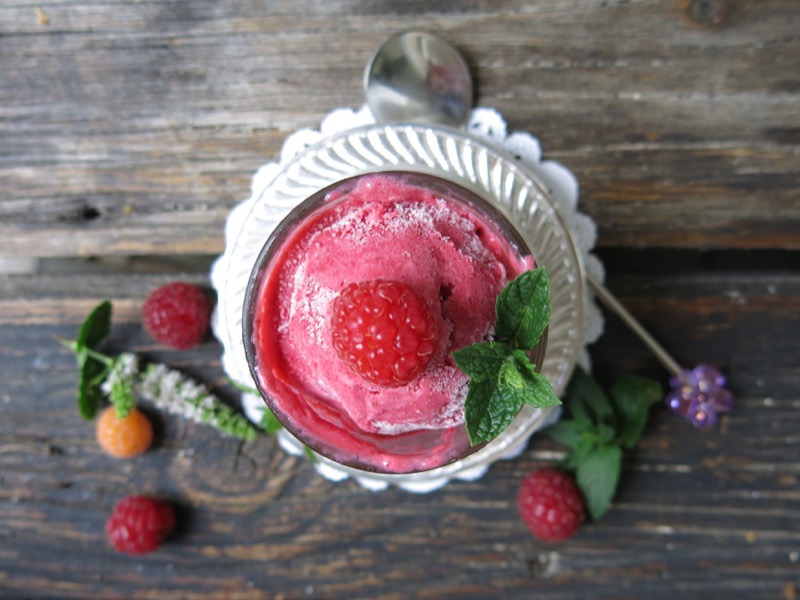 15 Thermomix Seedless Raspberry Ice Cream