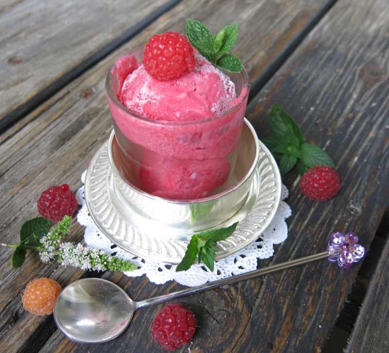 16 Thermomix Seedless Raspberry Ice Cream