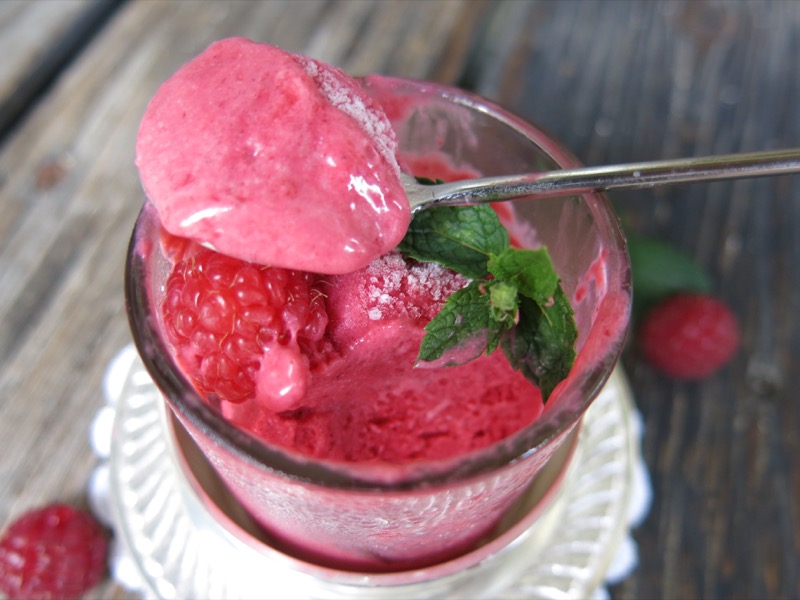 17 Thermomix Seedless Raspberry Ice Cream