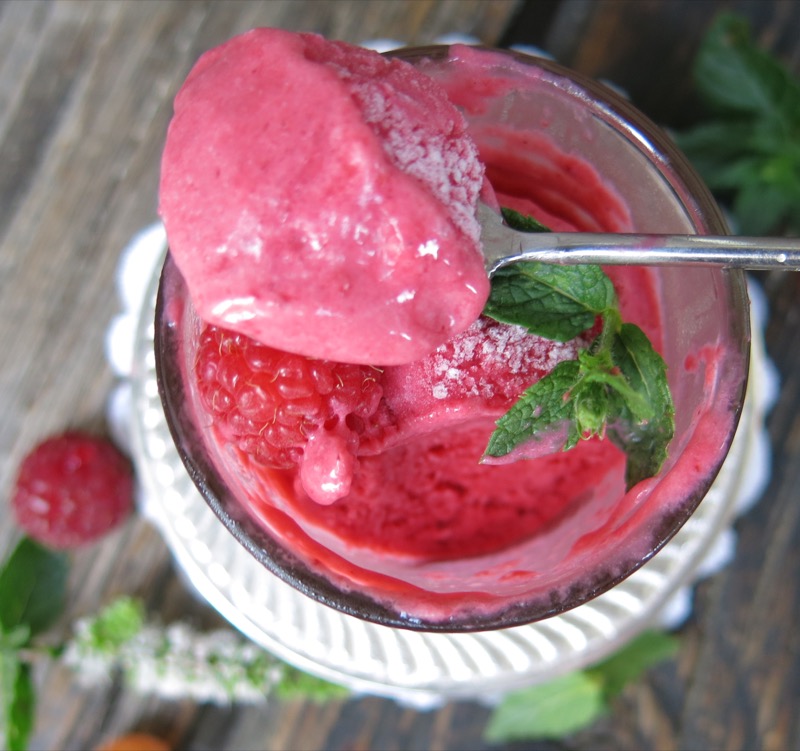 17b Thermomix Seedless Raspberry Ice Cream