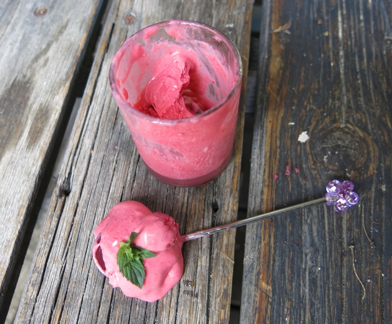 19 Thermomix Seedless Raspberry Ice Cream