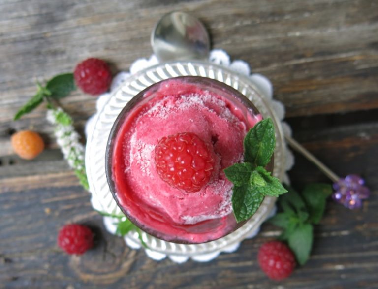 Thermomix Seedless Raspberry Ice Cream Outrageously Delicious