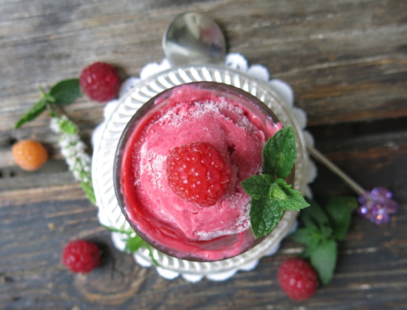 2 Thermomix Seedless Raspberry Ice Cream