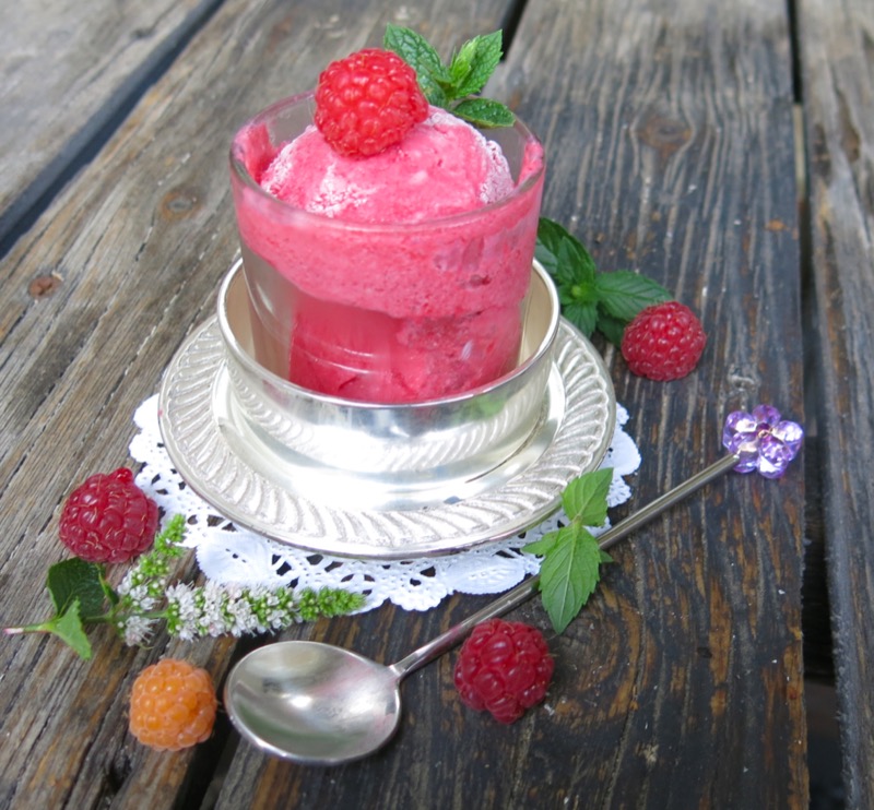 3 Thermomix Seedless Raspberry Ice Cream