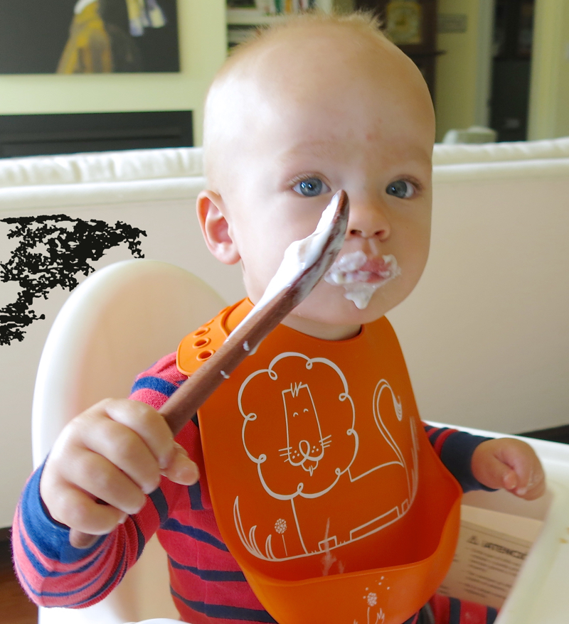 https://www.acanadianfoodie.com/wp-content/uploads/2016/08/3-William-and-Earlywood-Toddler-Spoon.jpg