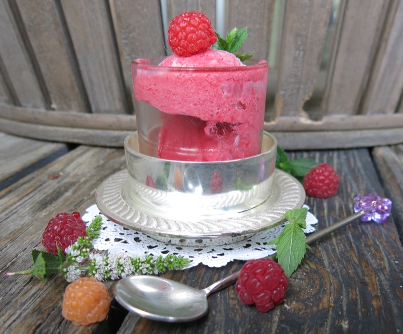 4 Thermomix Seedless Raspberry Ice Cream