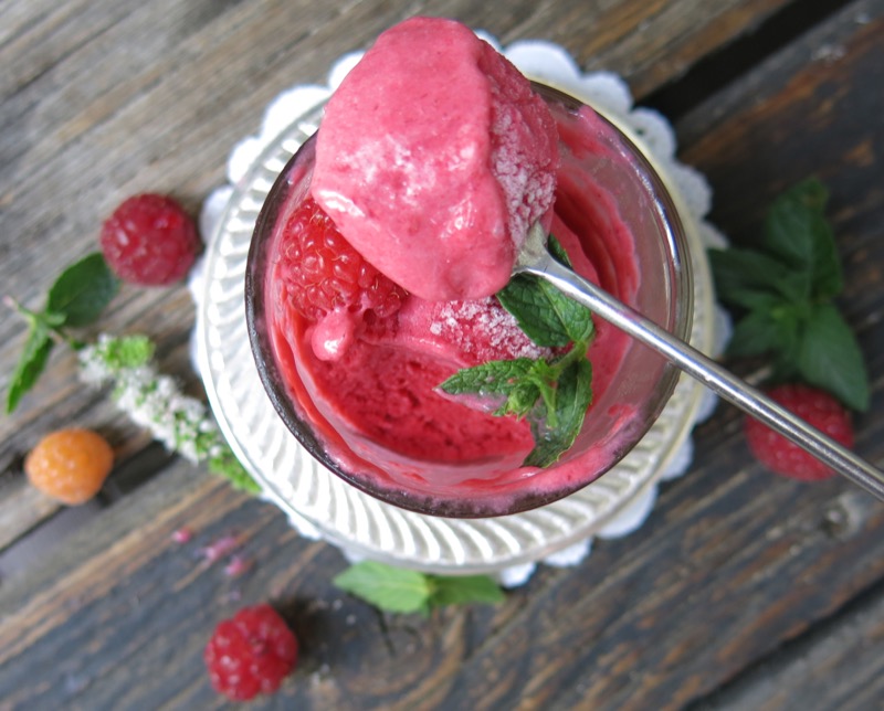 5 Thermomix Seedless Raspberry Ice Cream