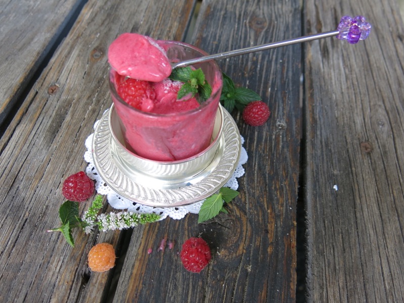 6 Thermomix Seedless Raspberry Ice Cream