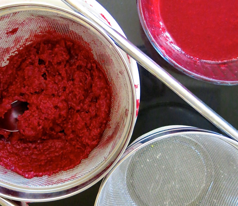 7a Thermomix Seedless Raspberry Ice Cream