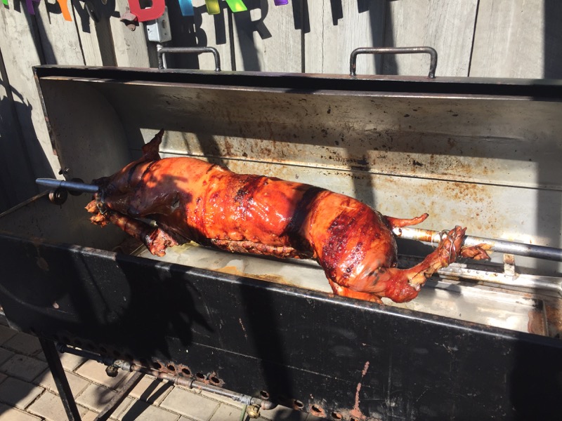 vanjas-50th-birthday-pig-roast-july-23-2016