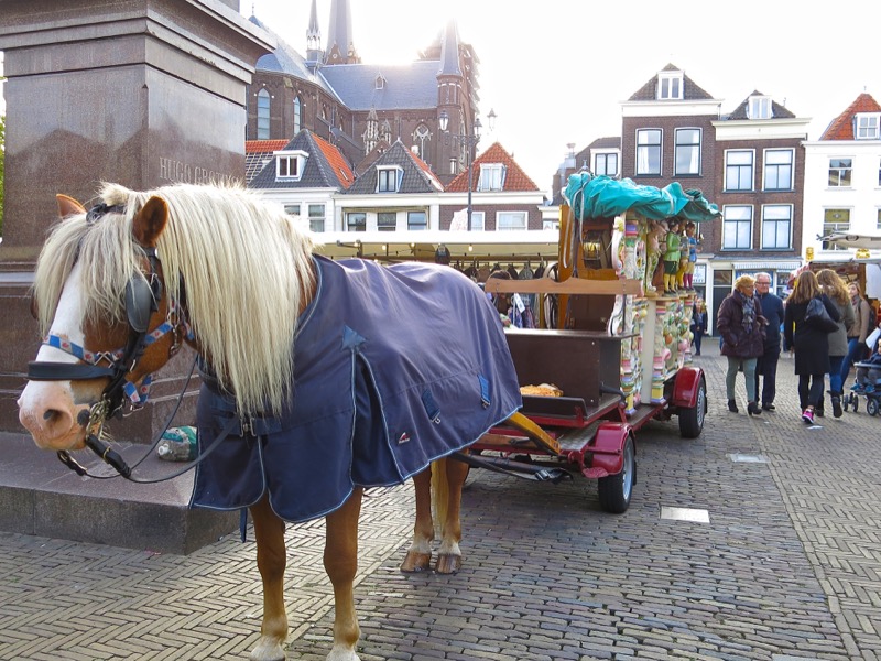 17-delft-thursday-open-air-farmers-market-oct-2016