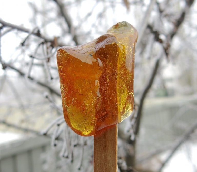 Canadian Maple Syrup Taffy Candy An Eastern Canadian Tradition