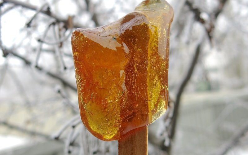 Canadian Maple Syrup Taffy Candy