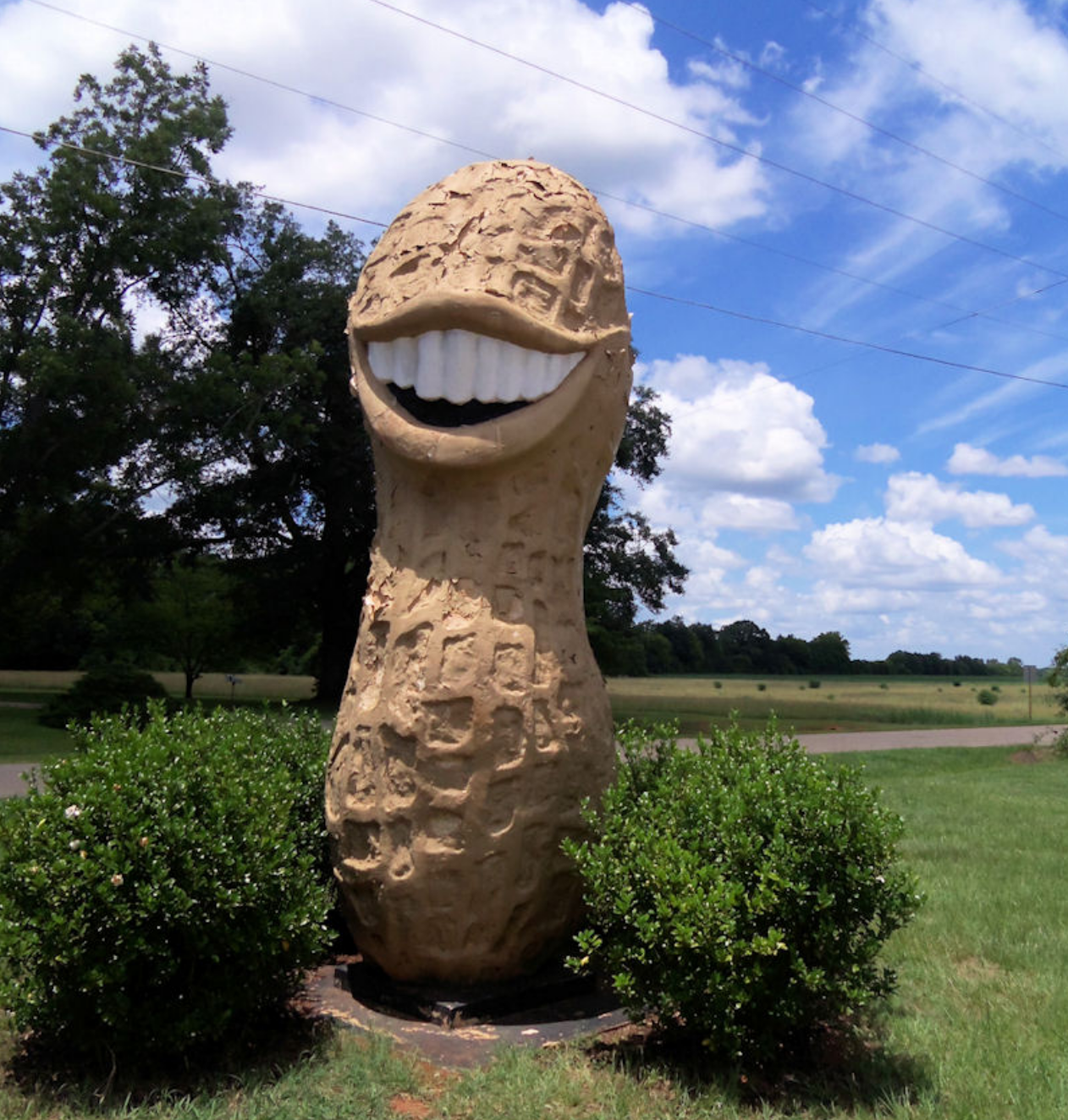 Peanut Bureau of Canada: Headed to the Peanut Harvest Festival 2017 to see them grow and learn all about one of my favourite Canadian Legumes! #peanuts @peanutscanada #PeanutTour2017