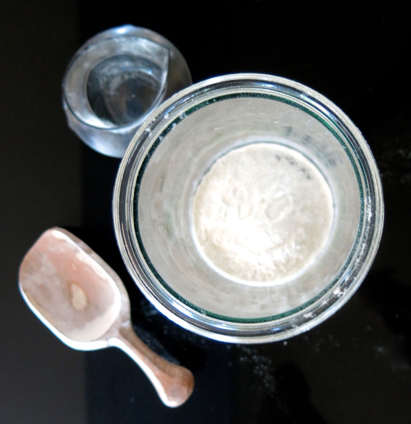 sourdough starter