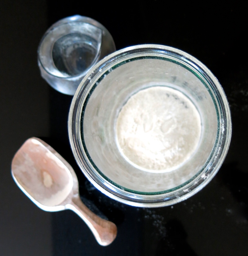 sourdough starter