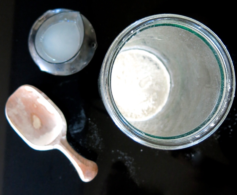 sourdough starter