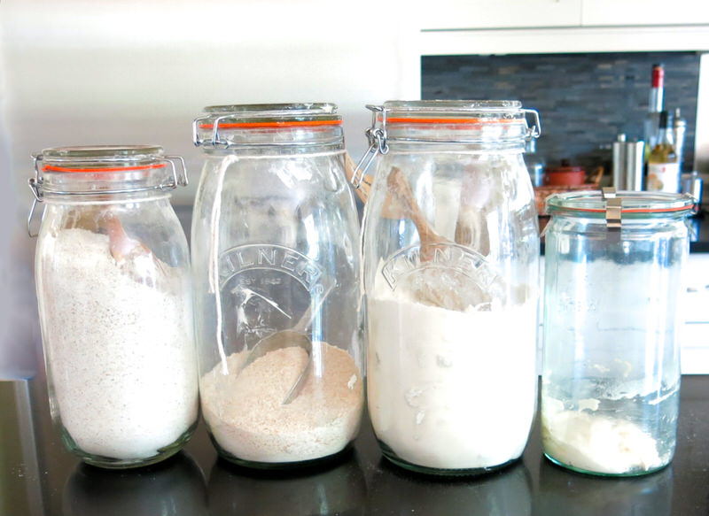 sourdough starter