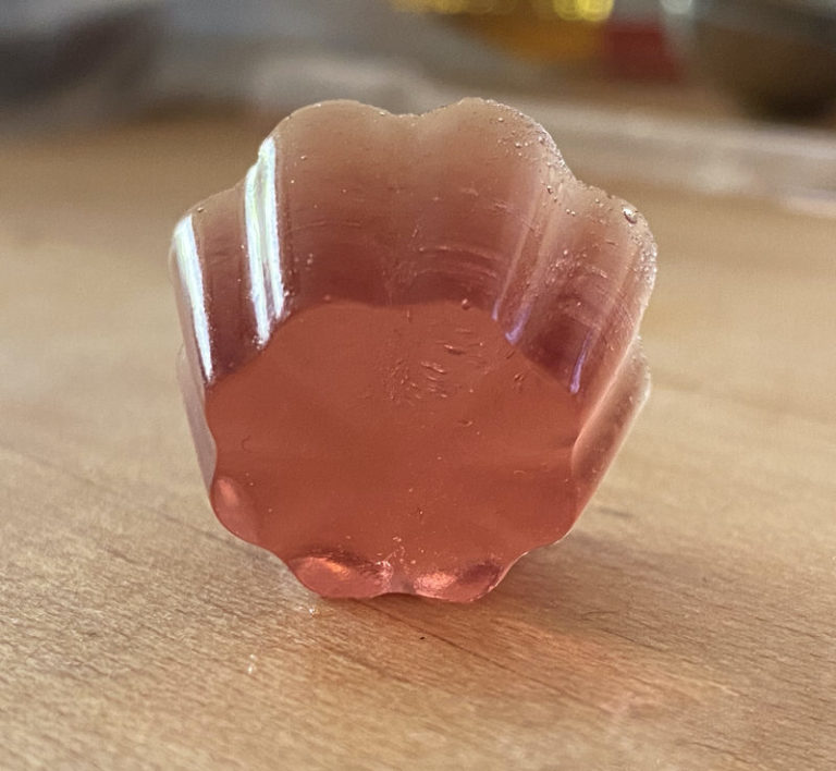 Gummy Bears Recipe Gummy Candy is SO easy with Thermomix!